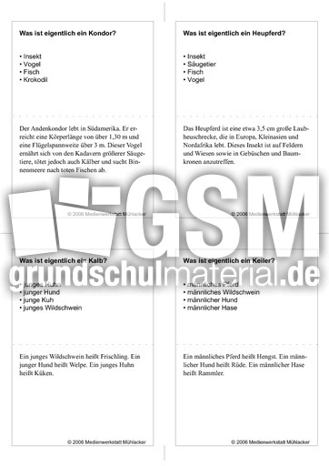 Quiz-Karten-Tiernamen 74.pdf